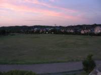 �т̕����ړI�L��