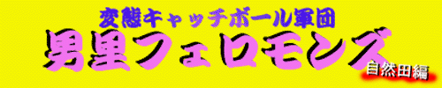 �ϑԃL���b�`�{�[���R�c�E�j���t�F�������Y