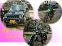 20020331