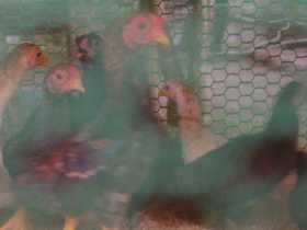 �Ȃ񂩂̒��̐��������ς������B